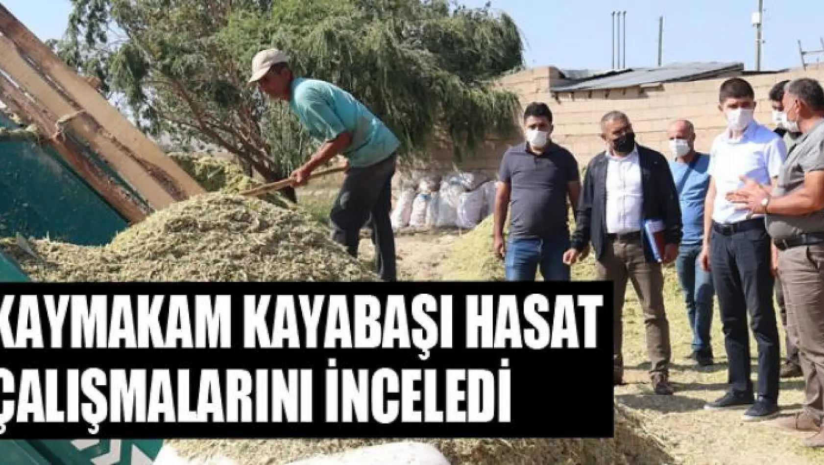 Kaymakam Kayabaşı hasat çalışmalarını inceledi