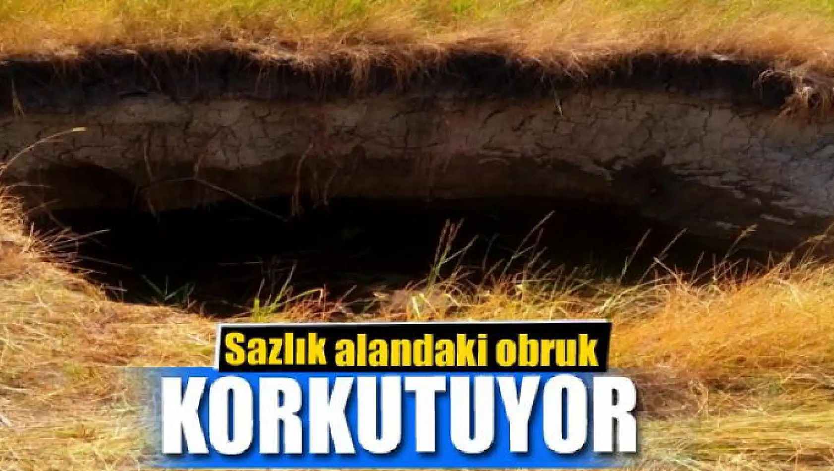 Sazlık alandaki obruk korkutuyor 