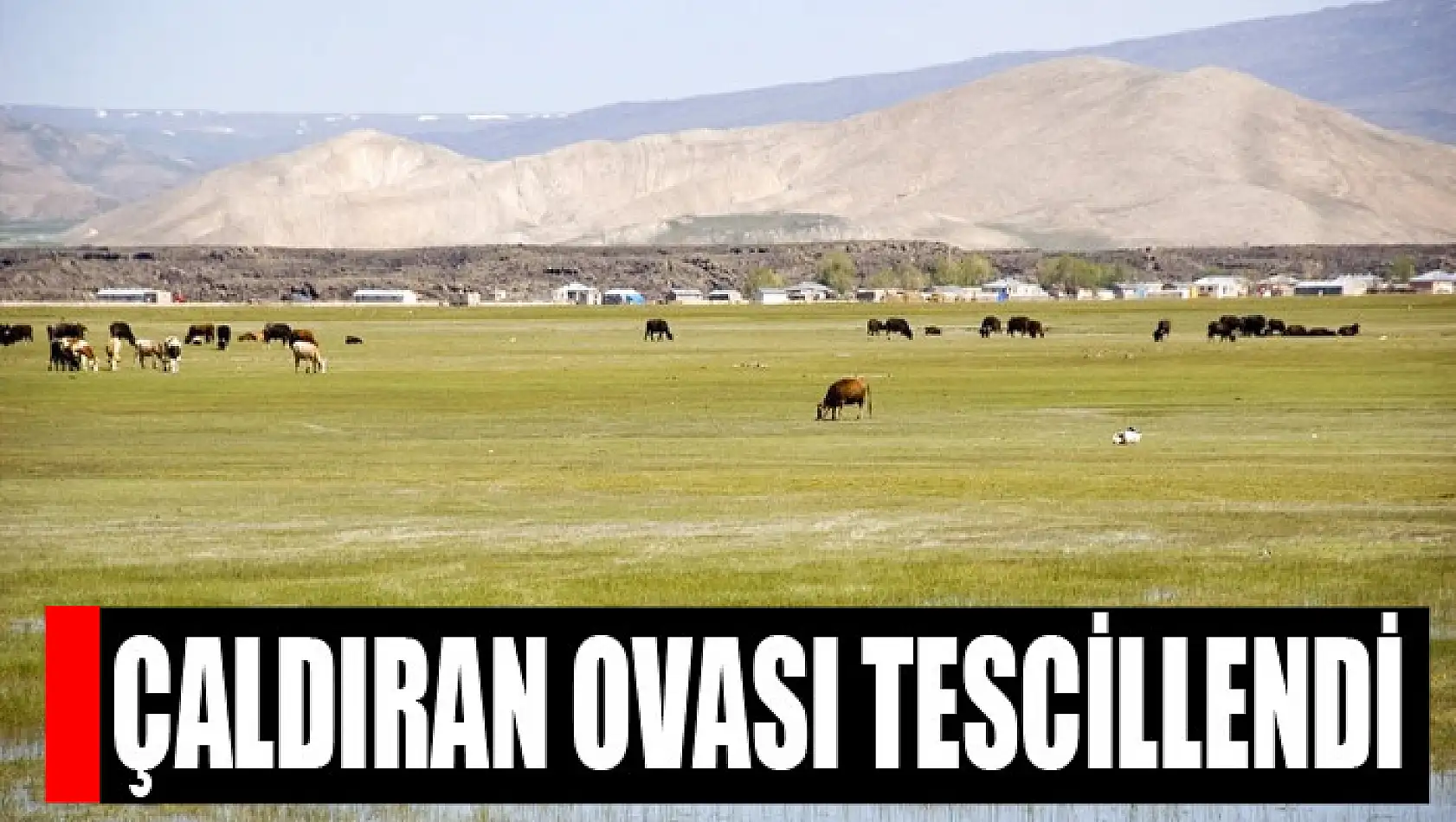 Çaldıran Ovası tescillendi