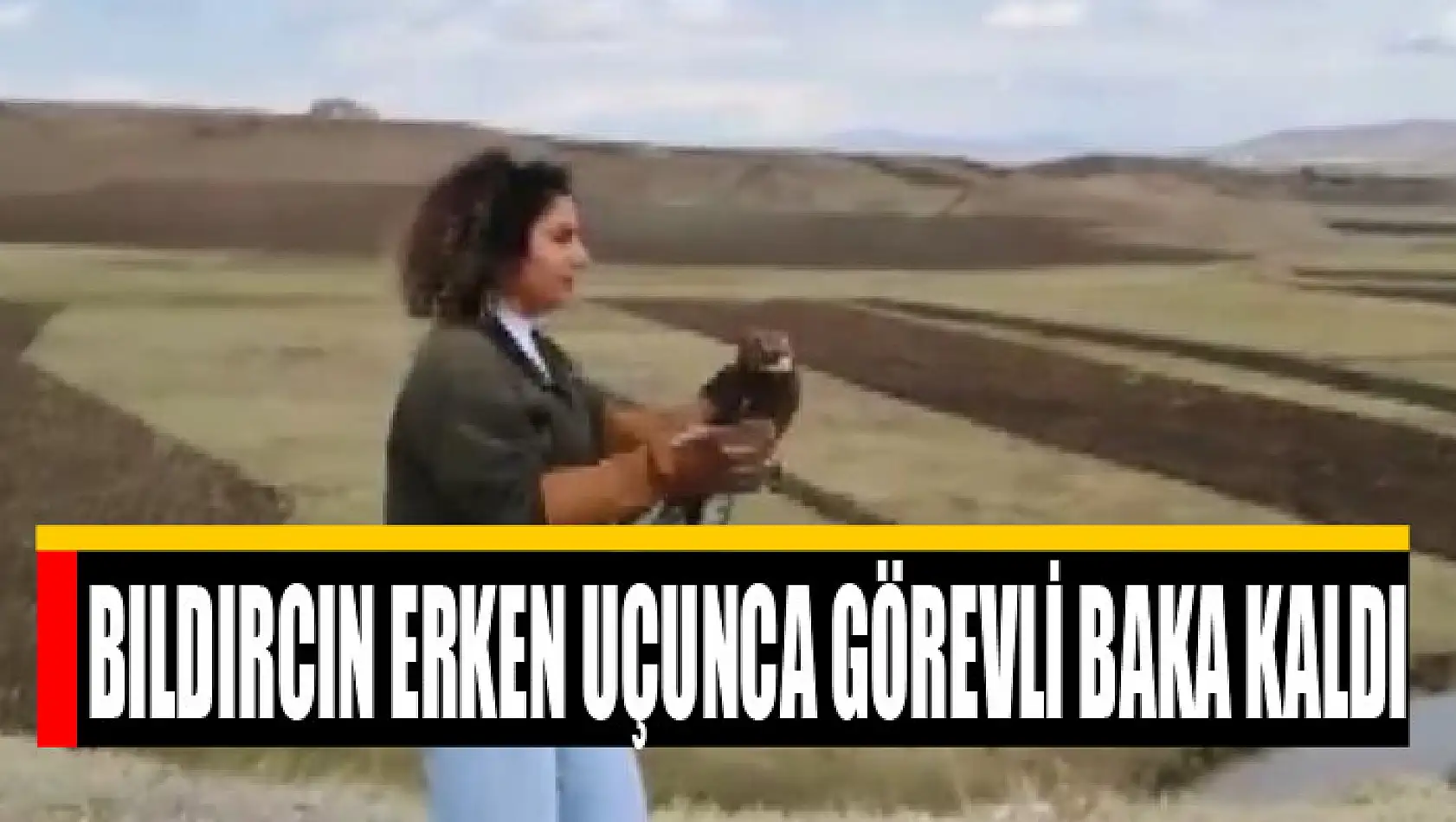 Bıldırcın erken uçunca görevli baka kaldı