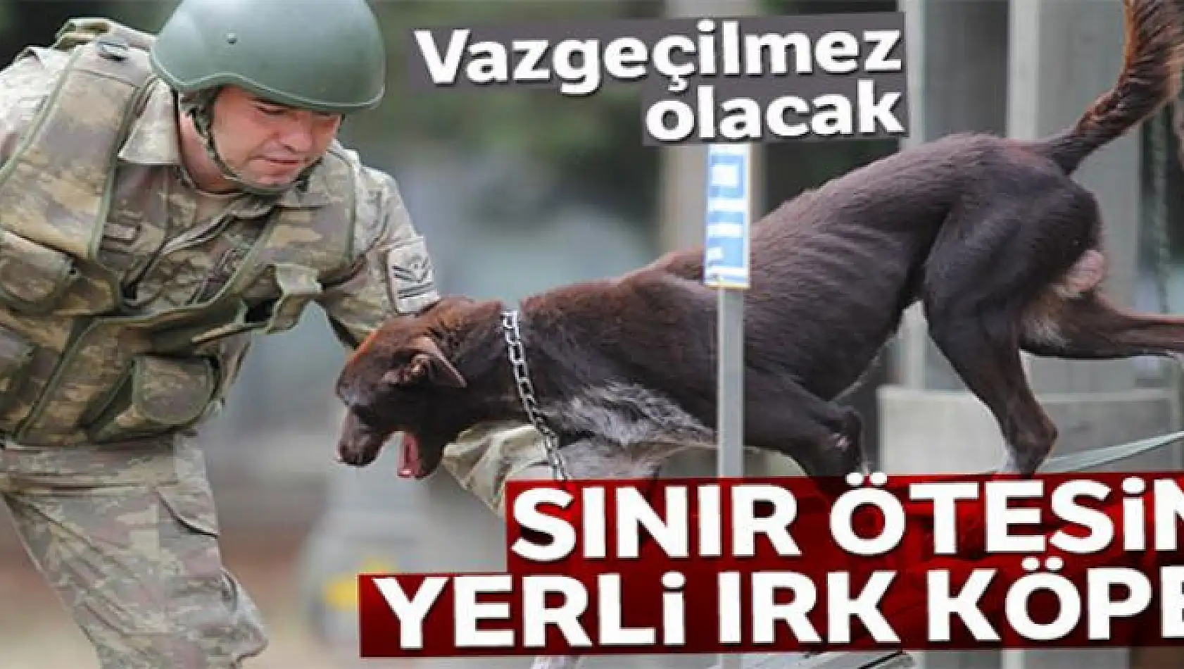 Sınır ötesi operasyonlara yerli ırk köpek