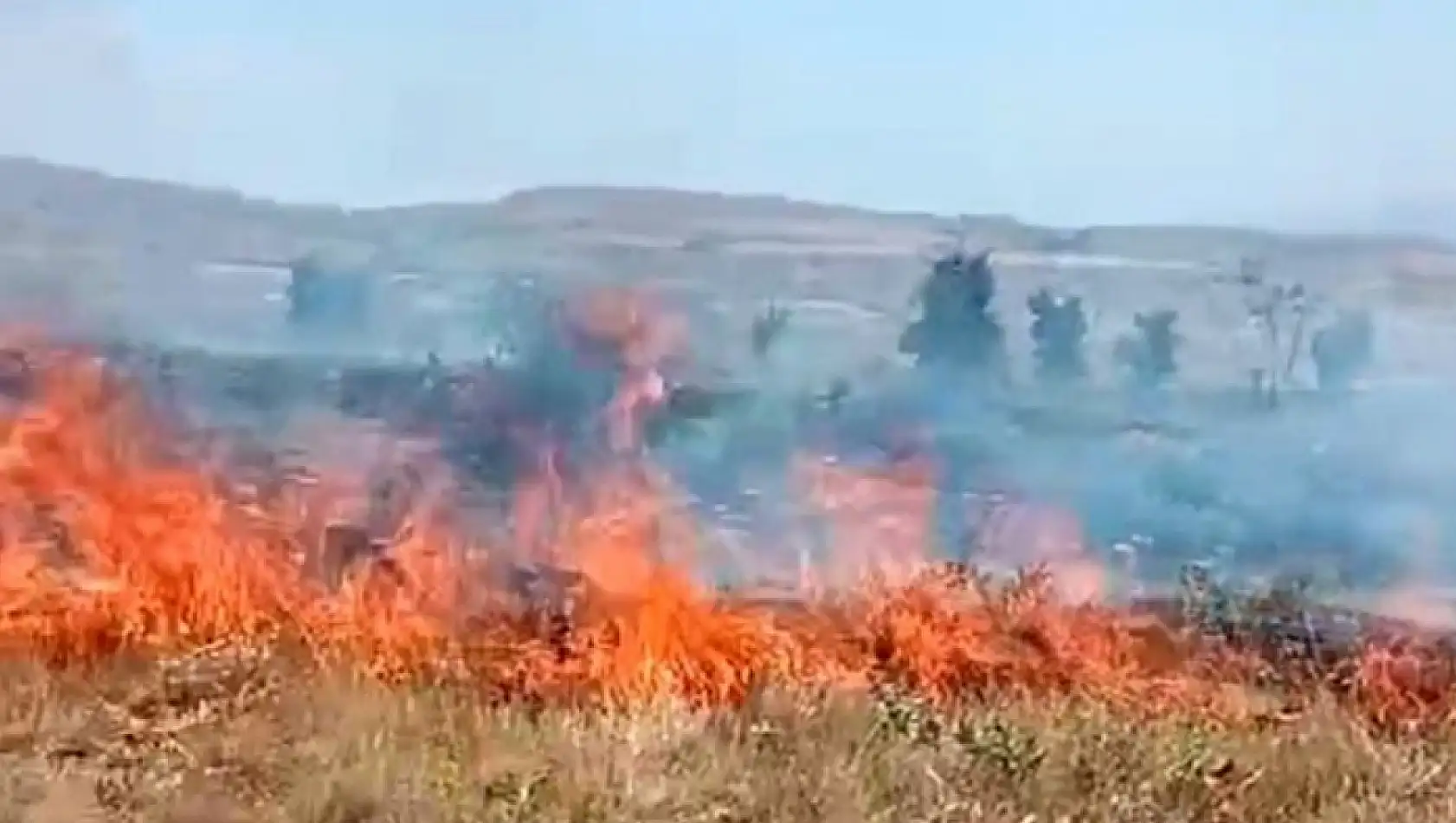 Arazi yangını söndürüldü