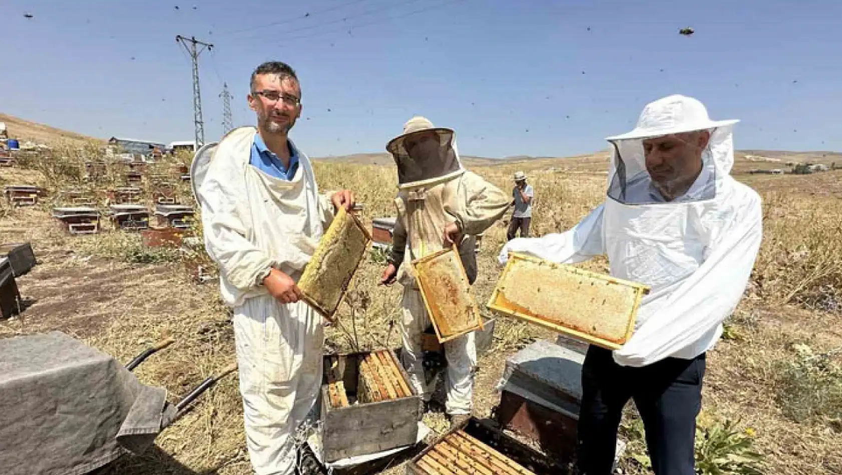 Cilo Dağı'nın eteklerinde bal bereketi