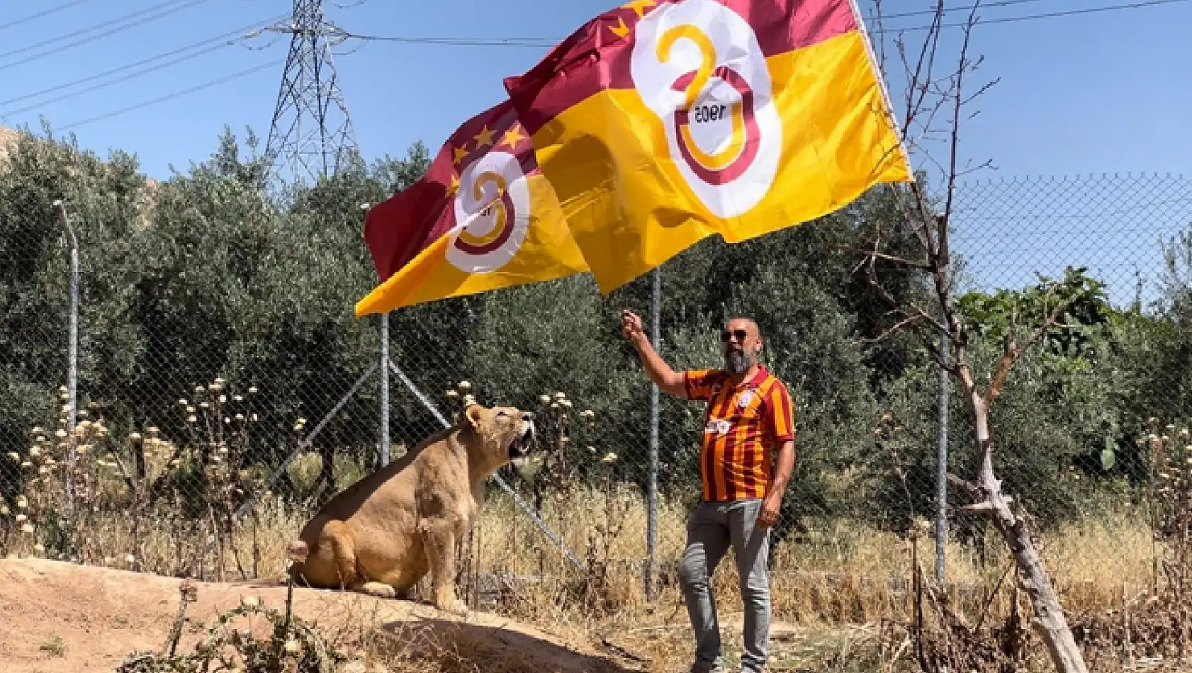 Diyarbakırlı taraftar, Galatasaray'ın 24. şampiyonluğunu aslanlarıyla kutladı