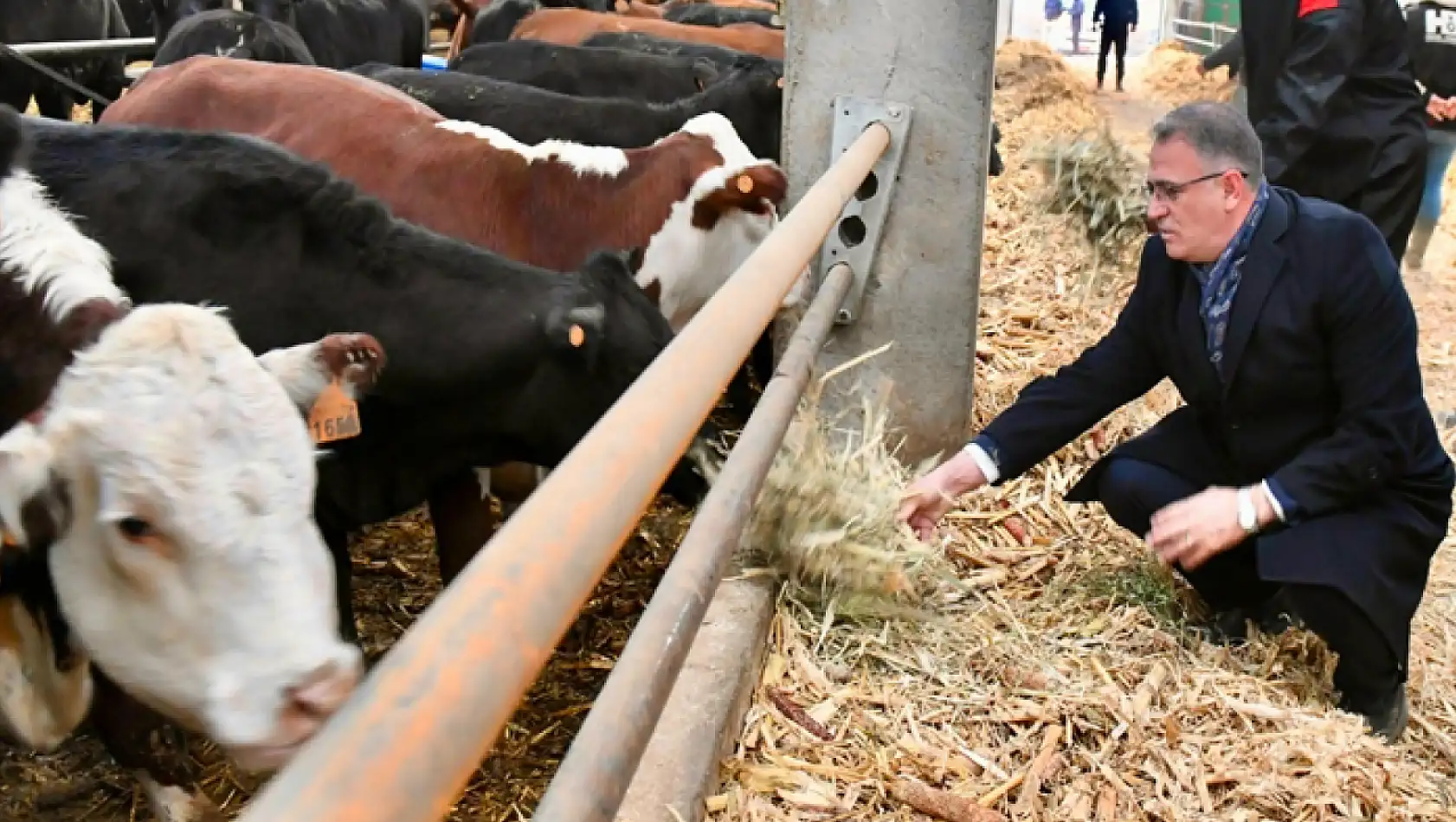 Düve Üretim Merkezi hayvancılığa büyük katkı sağlayacak