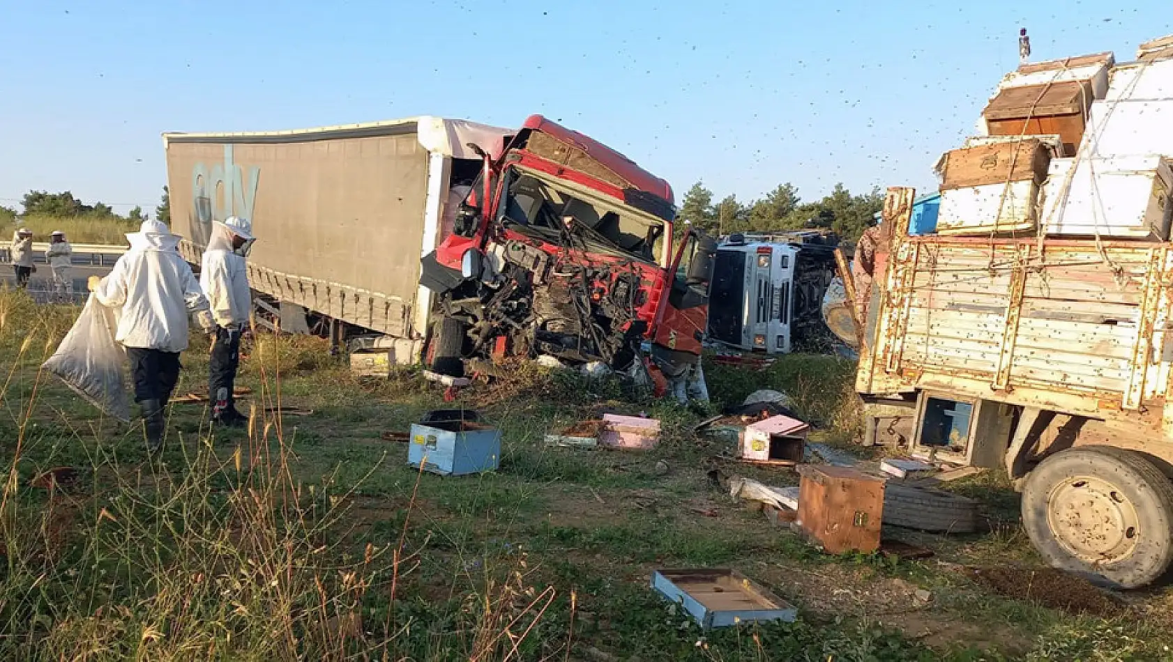 Edirne'de, Muğlalı arıcılara tır çarptı: 4 ölü, 1 yaralı