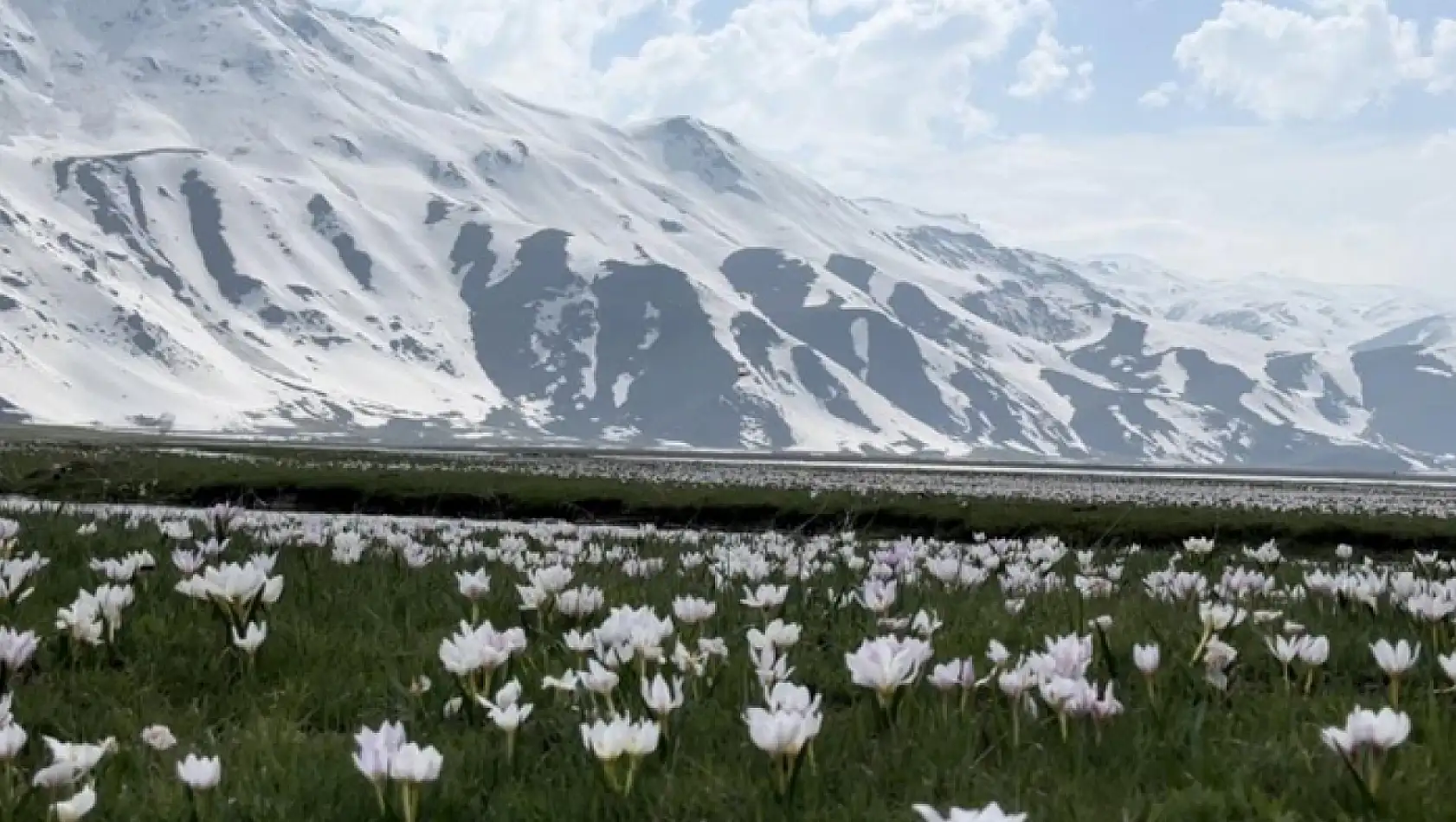 Kardelen ve çiğdemler çiçek açtı