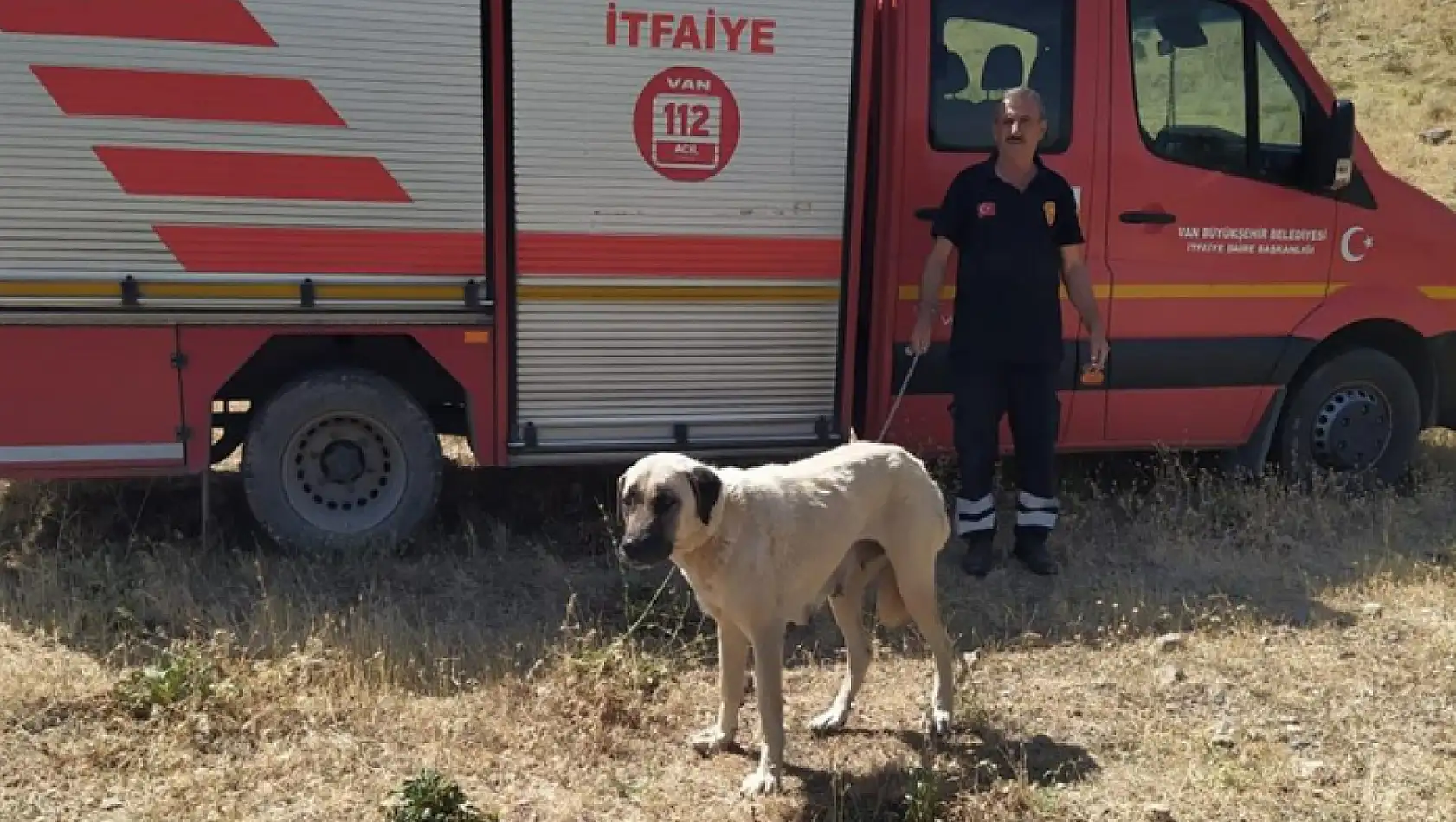 Kayalıklarda mahsur kalan köpek kurtarıldı