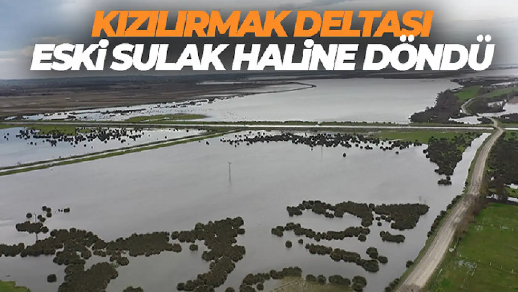 Kızılırmak Deltası eski sulak haline döndü