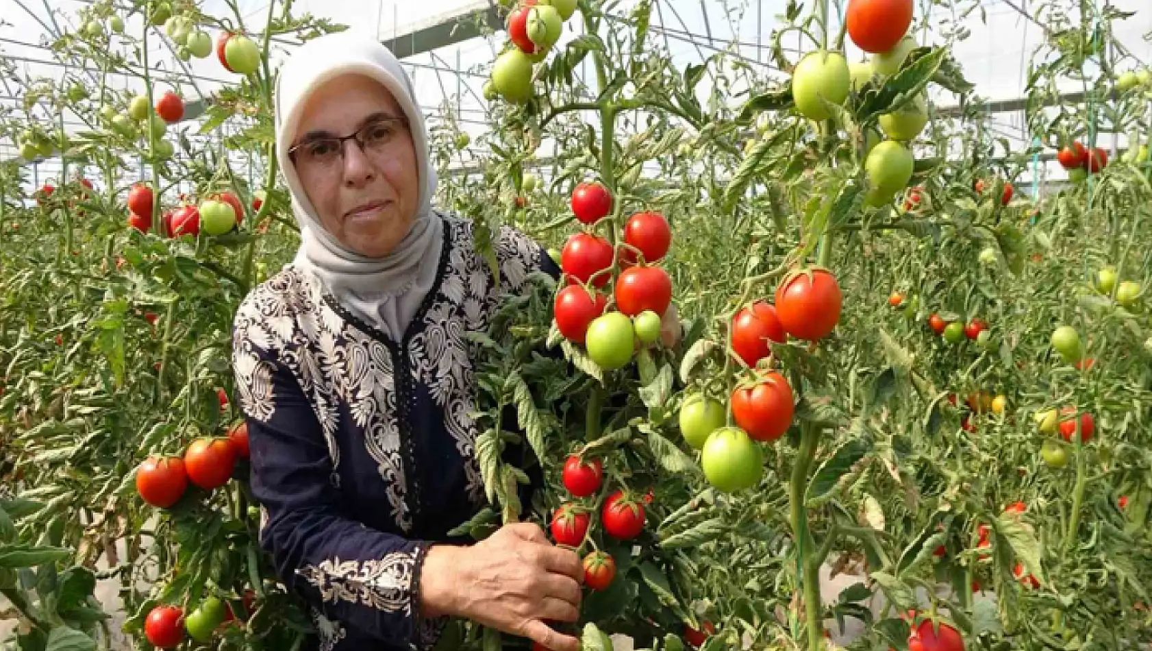 Koparmaya dahi kıyamıyorlardı, hobileri tutkuya dönüştü