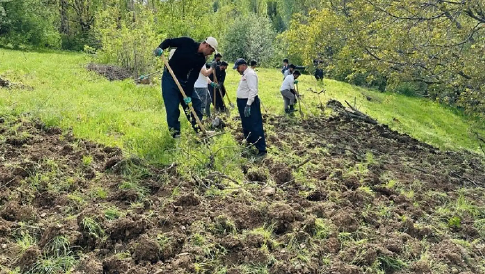 Köylülerden imece usulü bağ çapalama