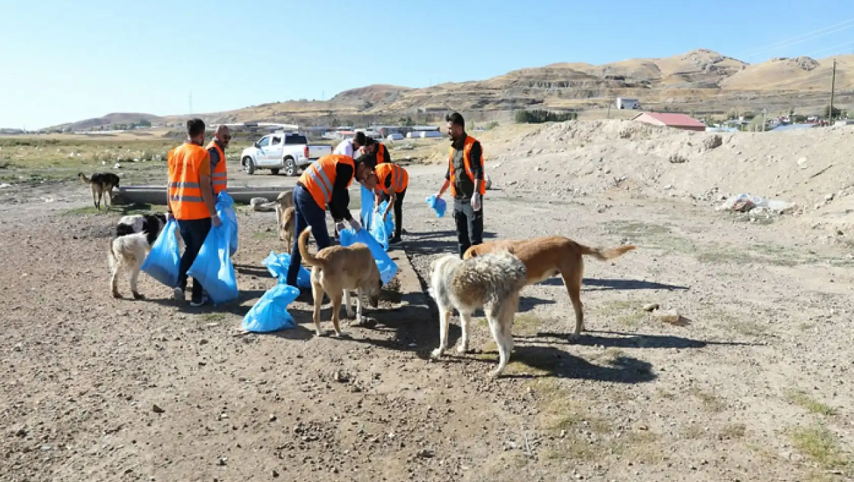 Sokak hayvanları için farkındalık etkinliği