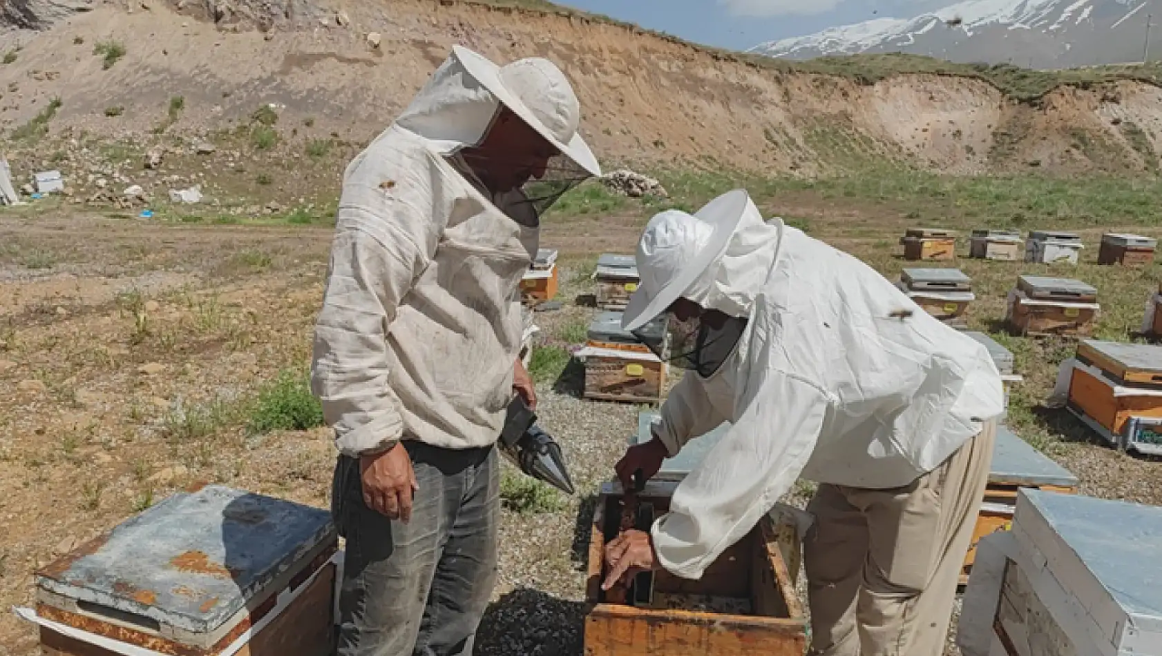 Süphan Dağı'nın eteklerinde üretim yapan arıcılar bu yıl yüksek rekolte bekliyor