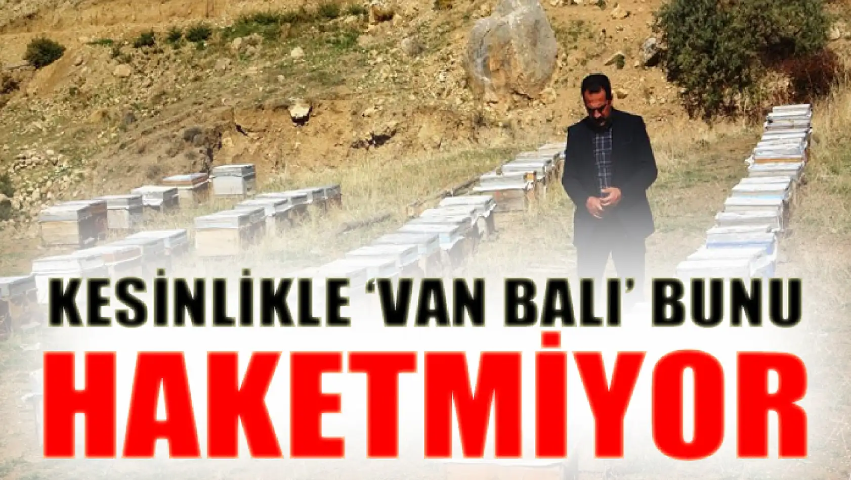 Tandoğan: 'Van balı' bunu haketmiyor