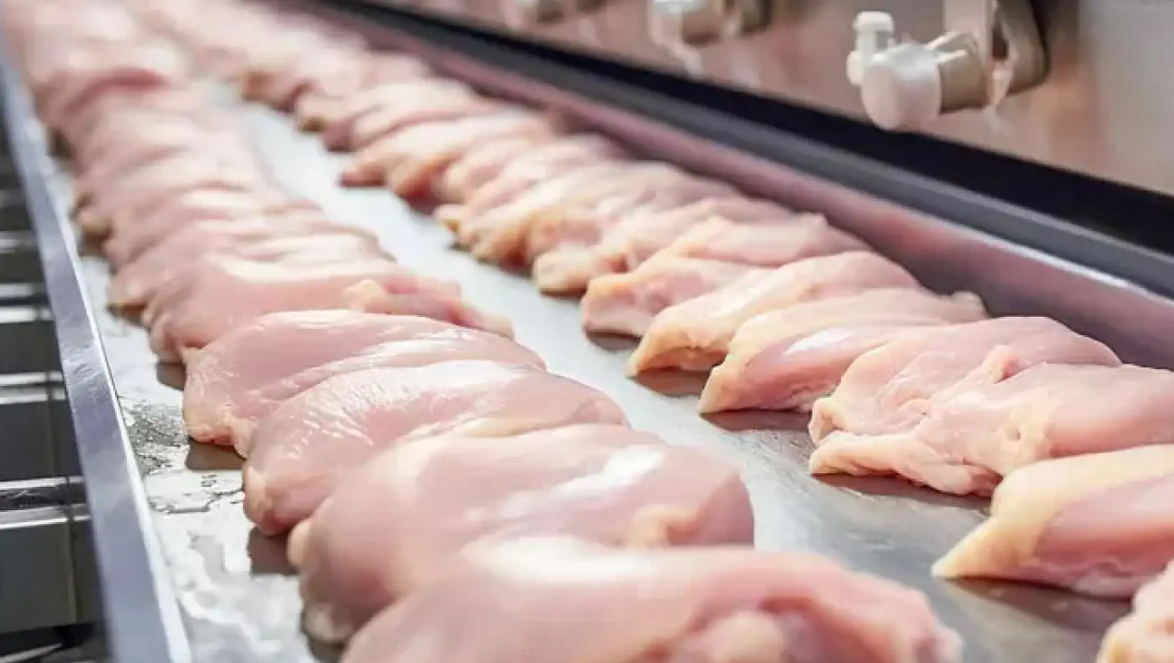Tavuk eti ihracatına sınırlama
