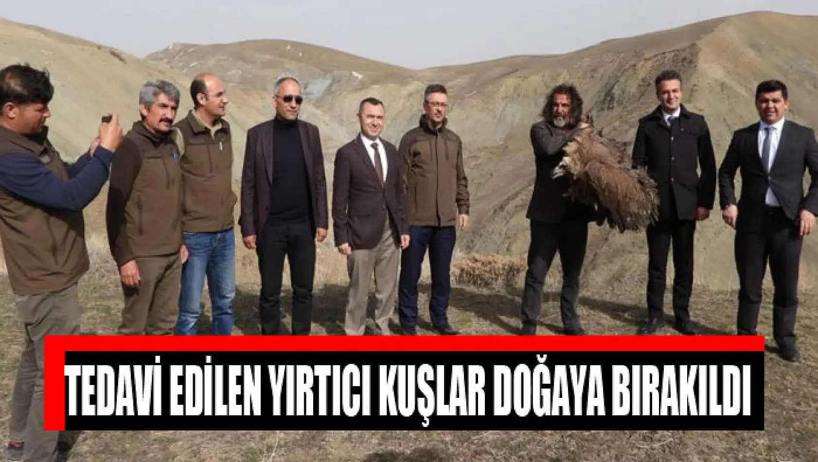 Tedavi edilen yırtıcı kuşlar doğaya bırakıldı