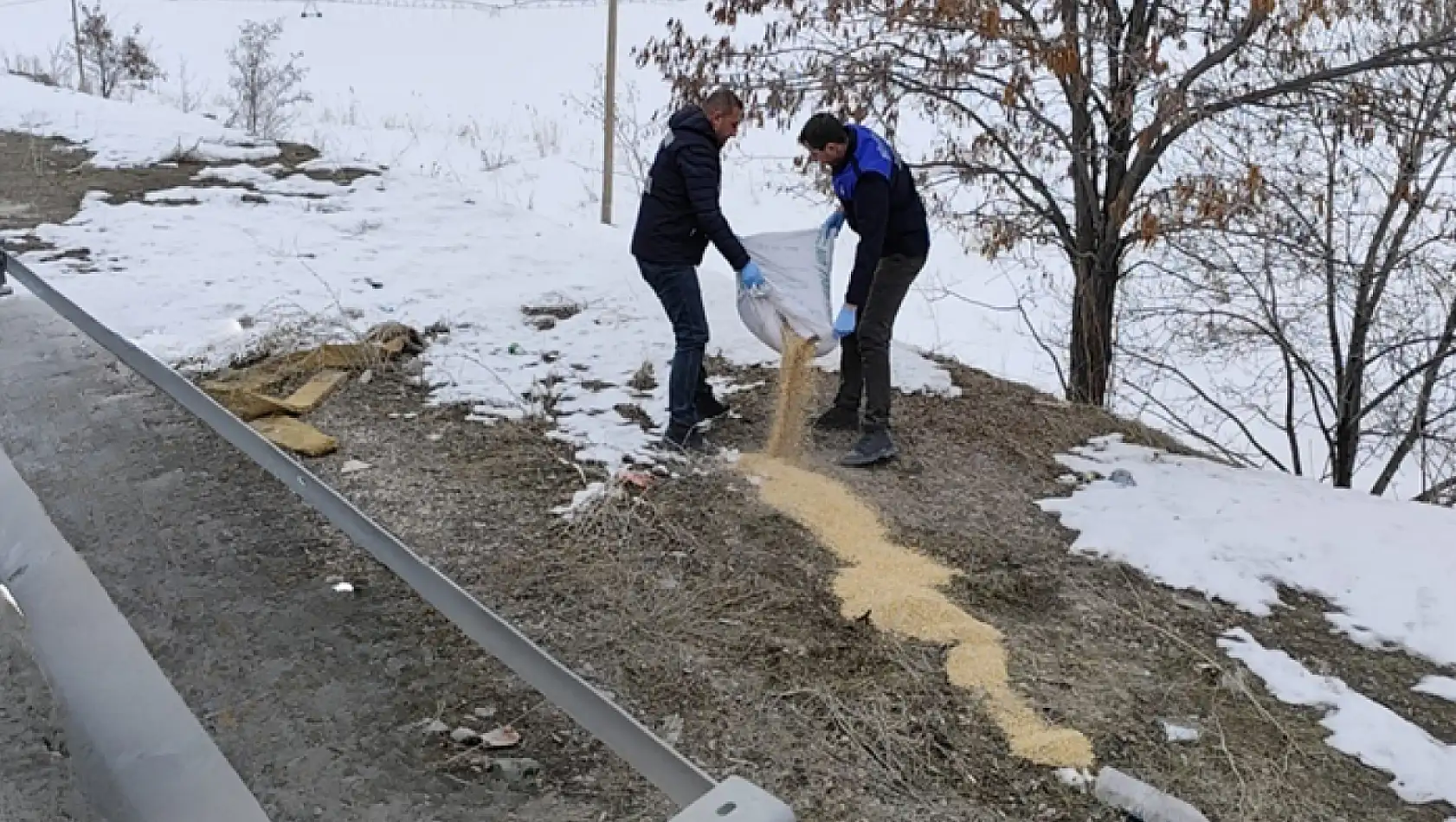 Van Büyükşehir Belediyesi kanatlı hayvanlar için seferber oldu