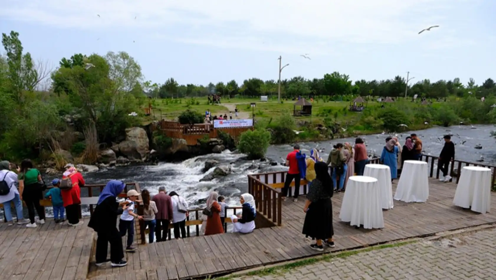 Van'da '11. Uluslararası İnci Kefali Göçü Kültür ve Sanat Festivali' başladı