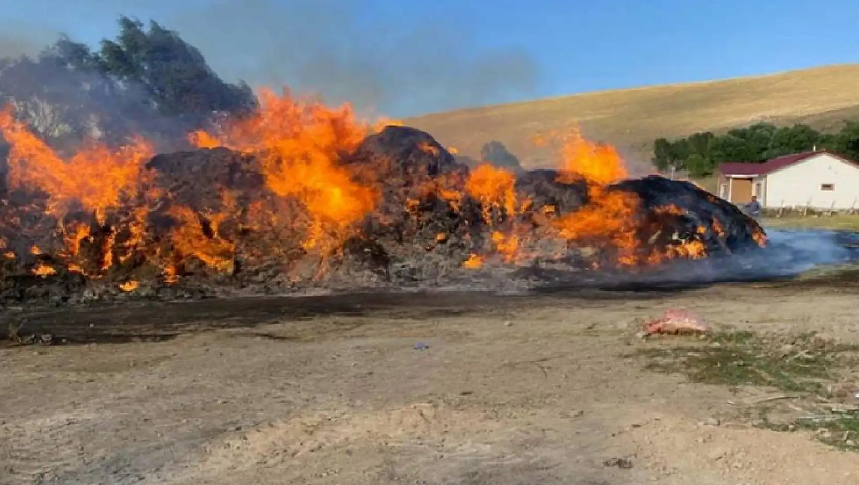 Van'da 4 bin bağ ot yanarak kül oldu