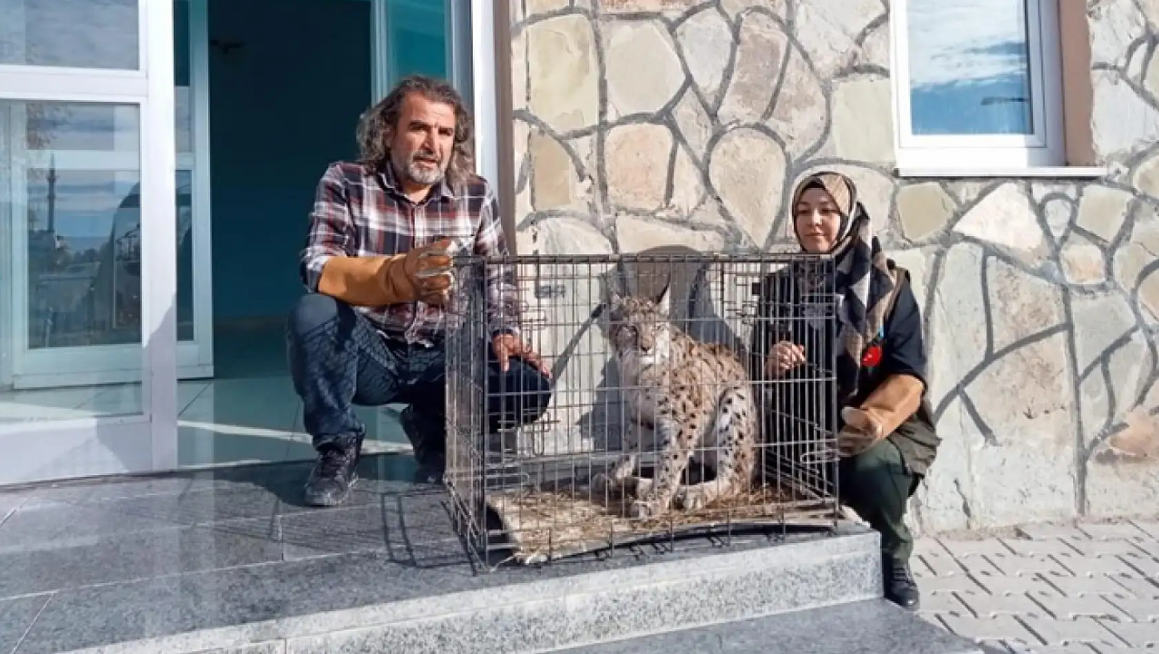 Van'da görülmüştü! Ameliyat edildi