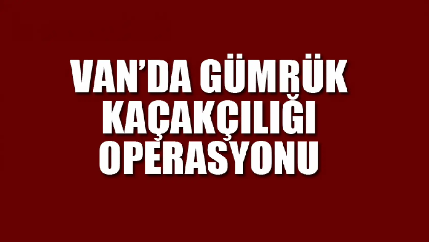 Van'da gümrük kaçakçılığı operasyonu