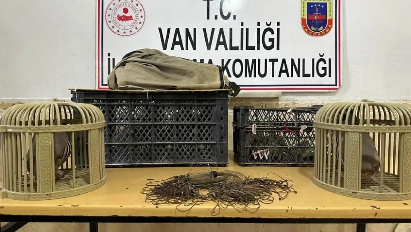 Van'da Kafes Avcıları Jandarmaya Takıldı