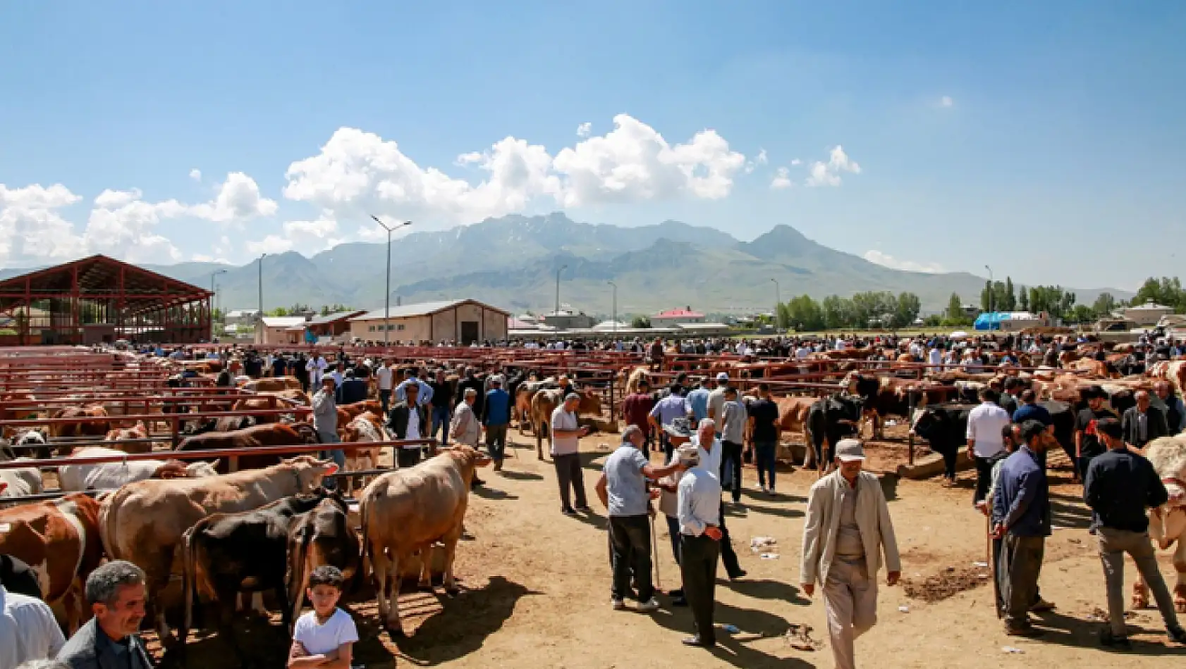 Van'da kurban satış ve kesim yerleri belirlendi