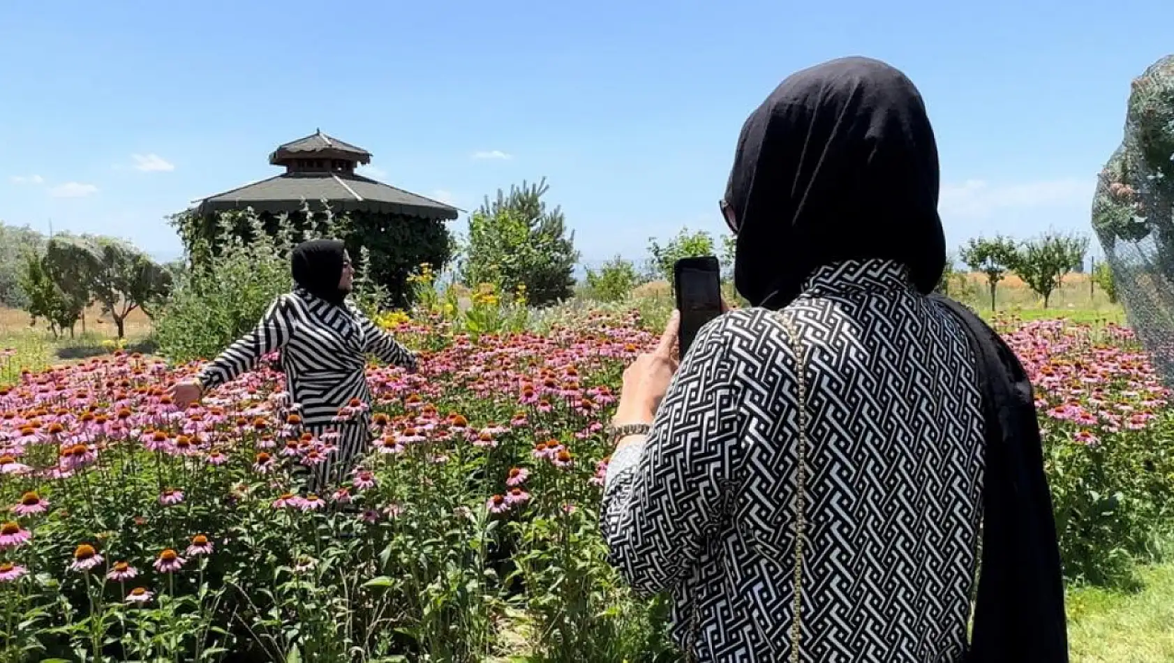 Van'da tıbbi bitkiler, doğal fotoğraf stüdyosuna döndü