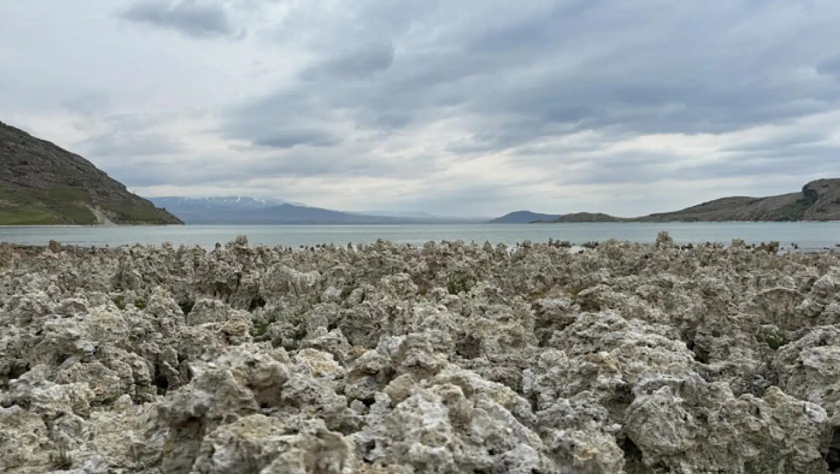 Van Gölü kıyılarındaki mikrobiyalitler vatandaşları şaşırttı