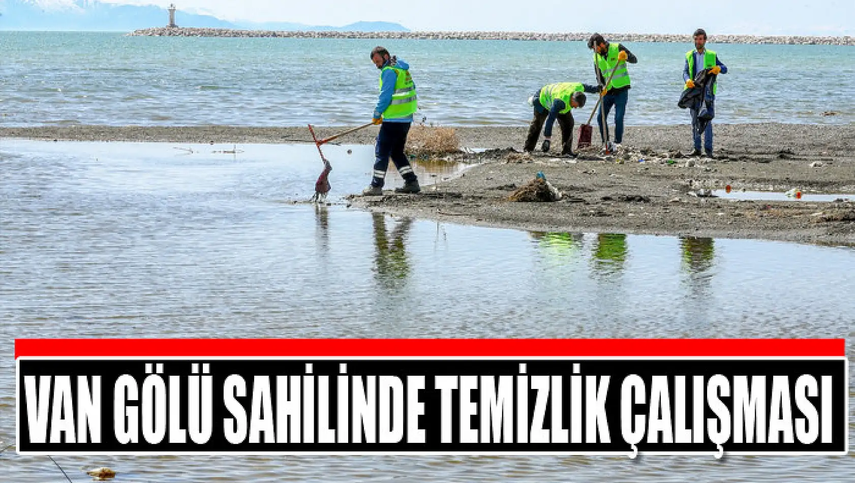 Van Gölü sahilinde temizlik çalışması