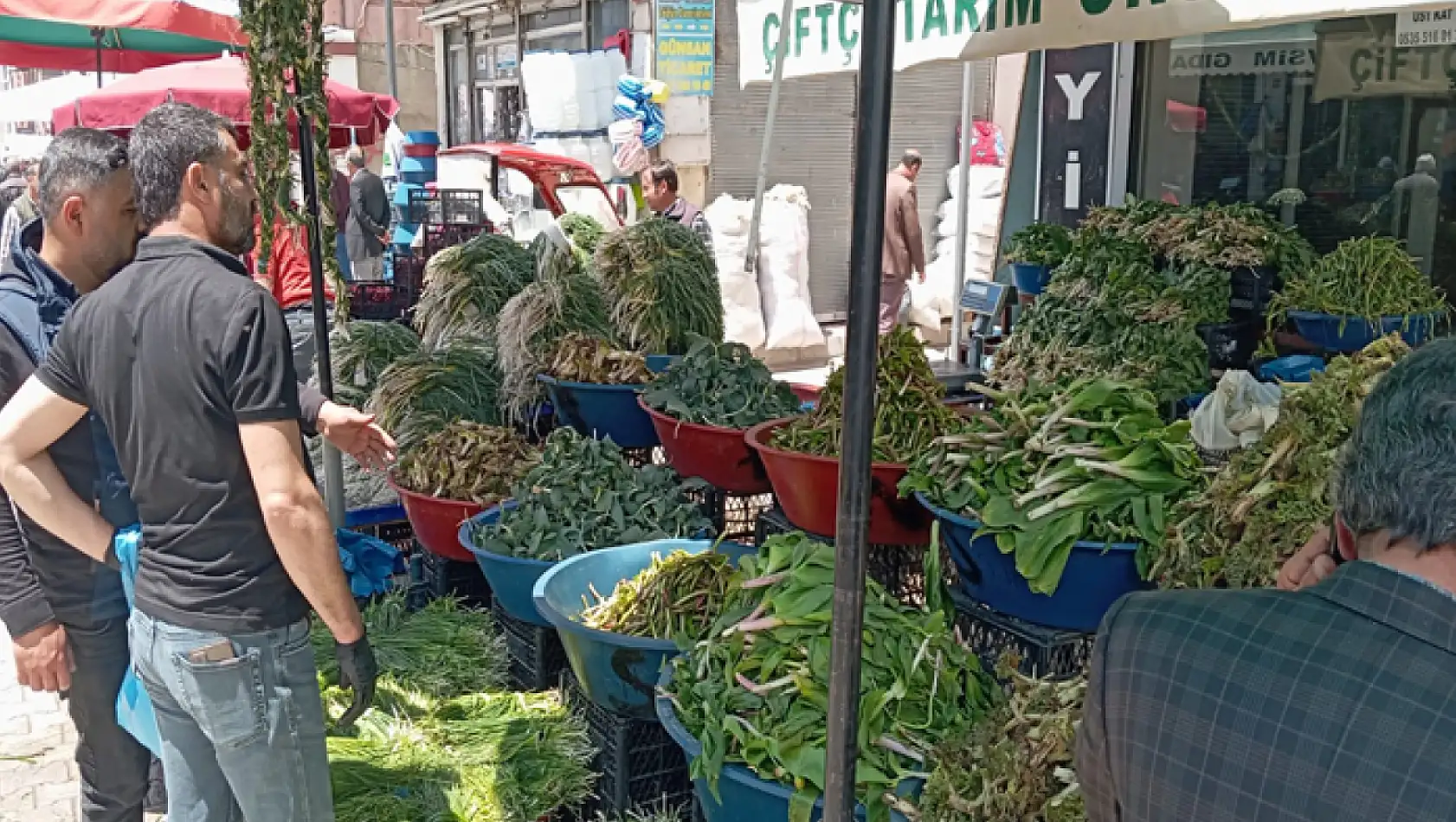 Van'ın yüksek kesimlerinde yetişen otlara yoğun ilgi