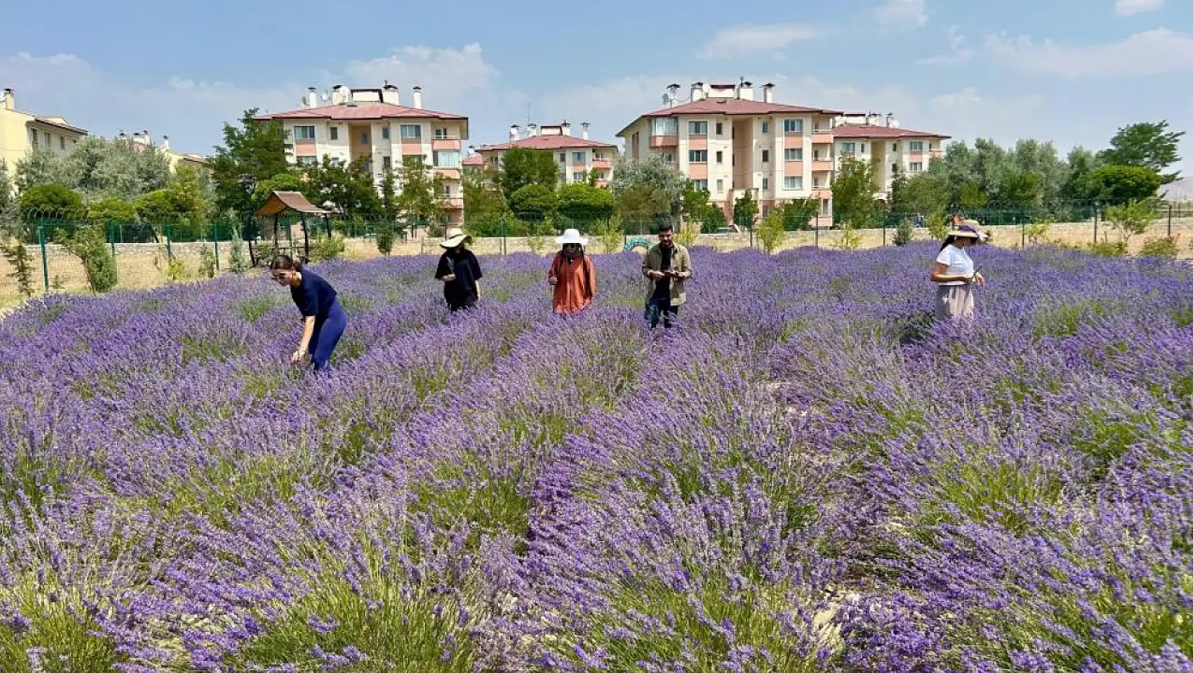 Van YYÜ'de 10 yılda 300 tür bitki yetiştirildi