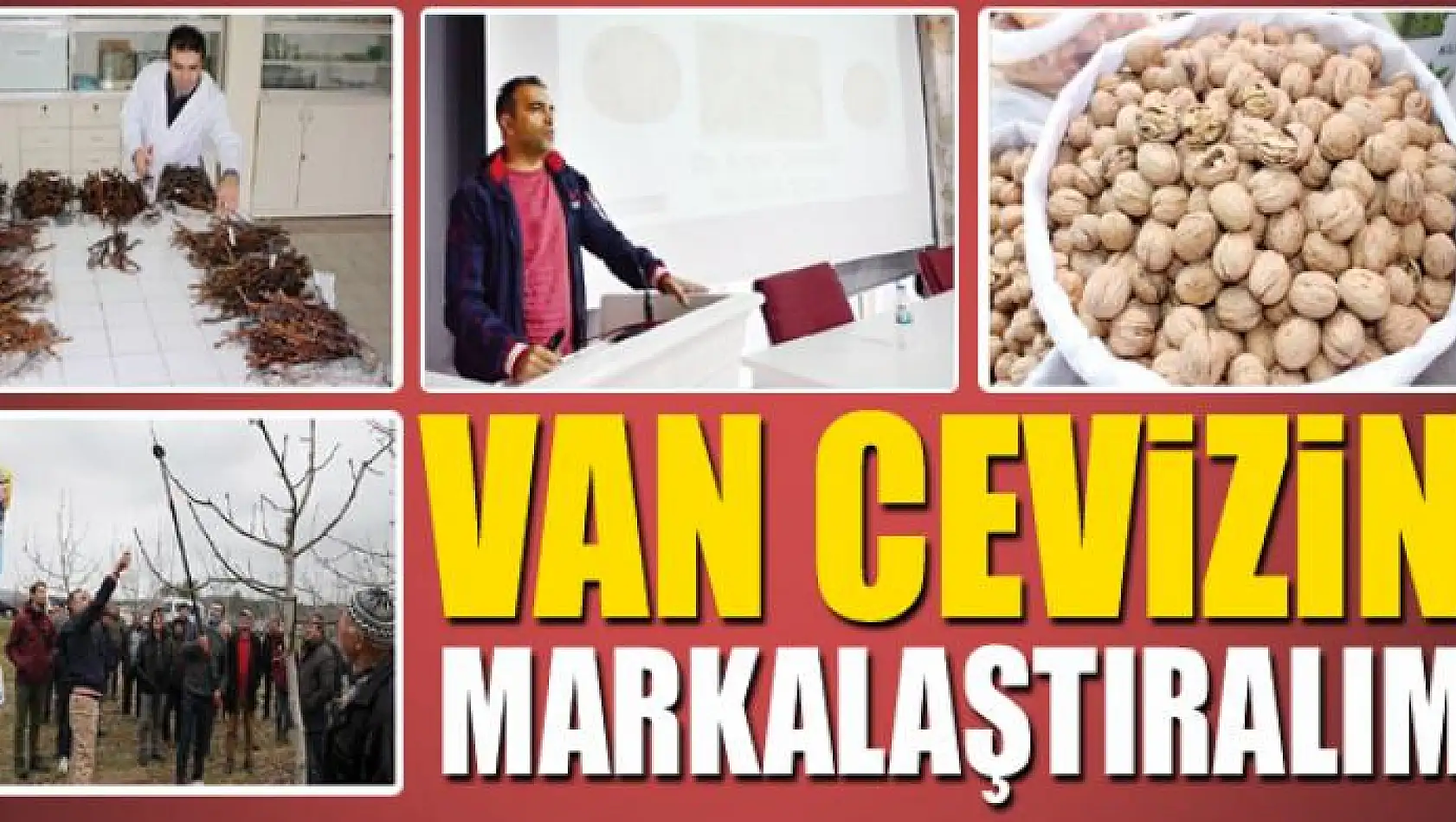 VAN CEVİZİNİ MARKALAŞTIRALIM!