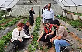 Dr. Şişman çilek serasını gezdi