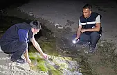 İnci kefali üreme alanlarına gece denetimi