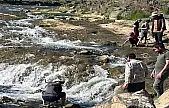 İnci kefalinin göçü yerli ve yabancı turistlerin ilgi odağı oldu