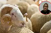 Sağlıklı et tüketimi konusunda önemli uyarı