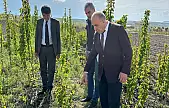 Van'da 100 bin meyve fidanı çöğürü dikildi