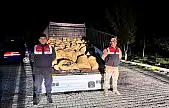 Van'da 3 ton 820 kilo kaçak avlanmış balık ele geçirildi