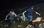 Van'da 5 ton 650 kilo inci kefaline el konuldu