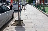 Van'da kaldırımlardaki ağaçların dipleri temizleniyor