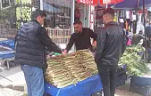 Van'da uşkuna yoğun ilgi