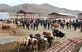 Van TDİ Besi OSB'nin temelleri atılıyor: Altyapı ihale tarihi belli oldu