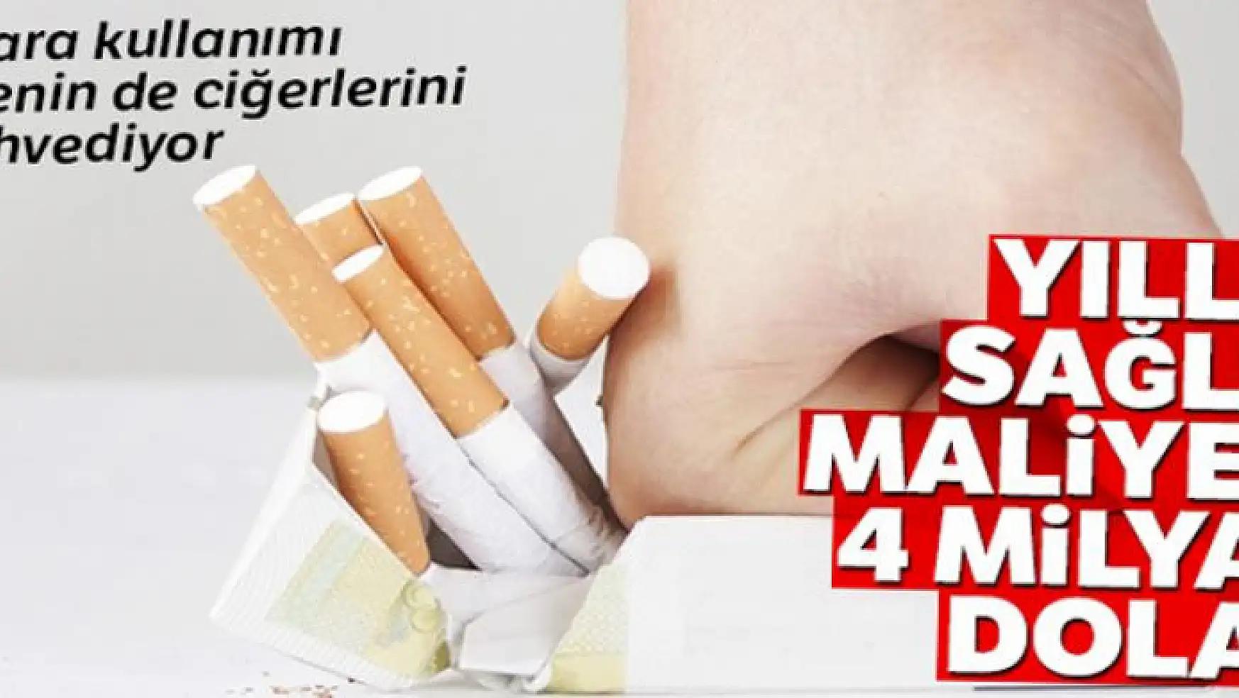Hüseyin Demir: 'Sigara kullanımı ekonomik açıdan ülkenin ciğerlerini mahvediyor'