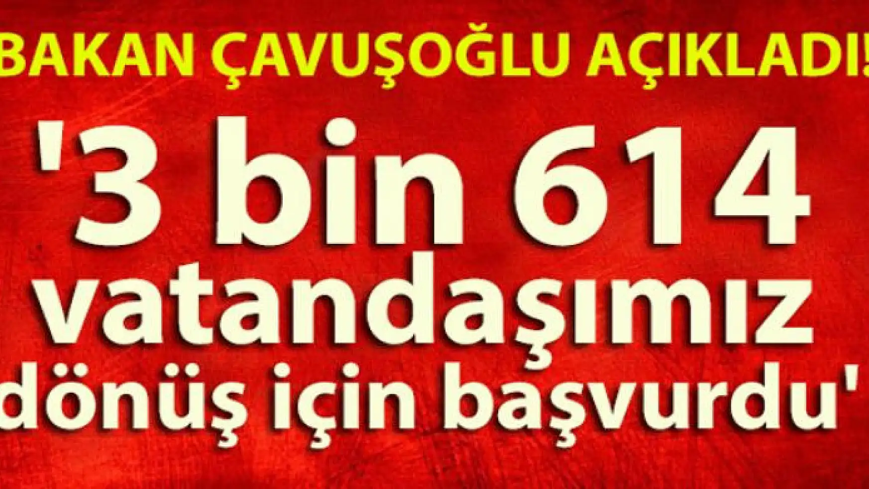 Bakan Çavuşoğlu: '3 bin 614 vatandaşımız dönüş için başvurdu'