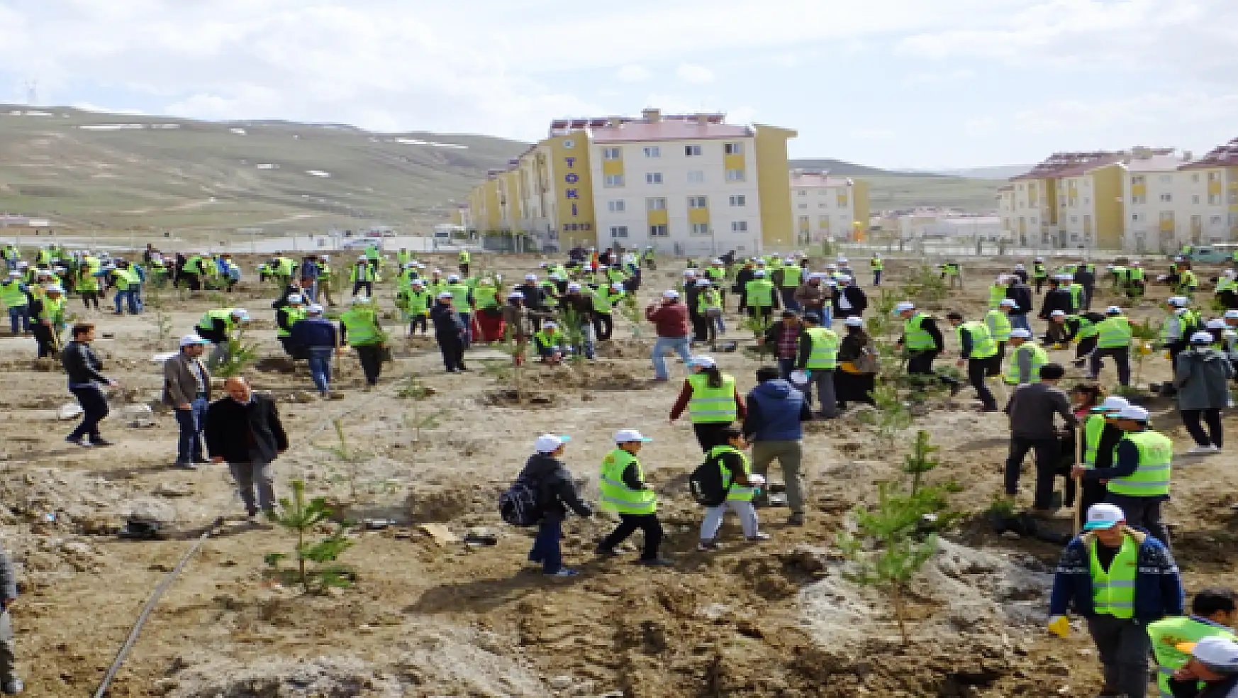 İpekyolu Belediyesi 300 Bin Ağaç Dikecek
