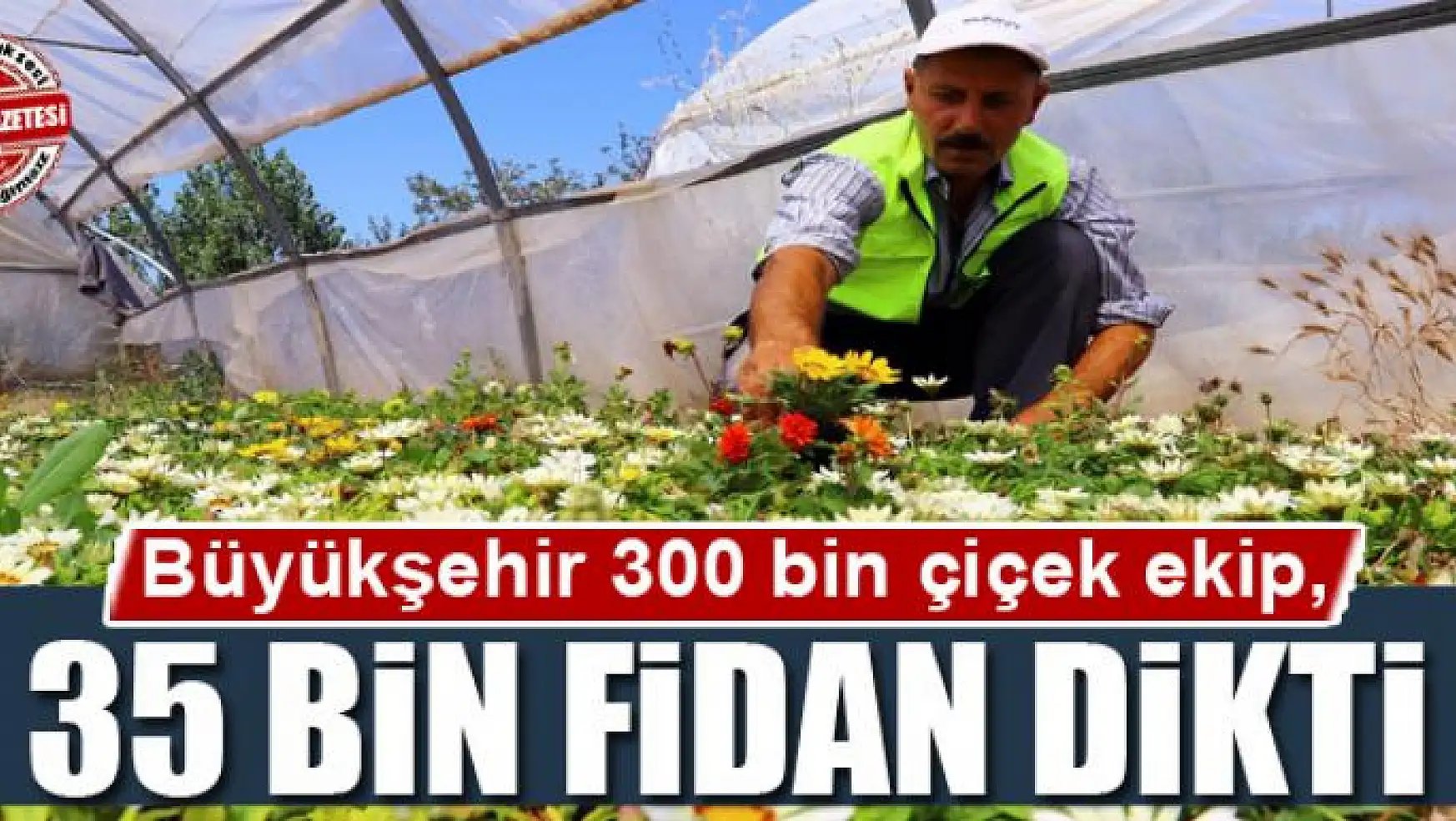 Büyükşehir Belediyesi 300 bin çiçek ekip, 35 bin fidan dikti