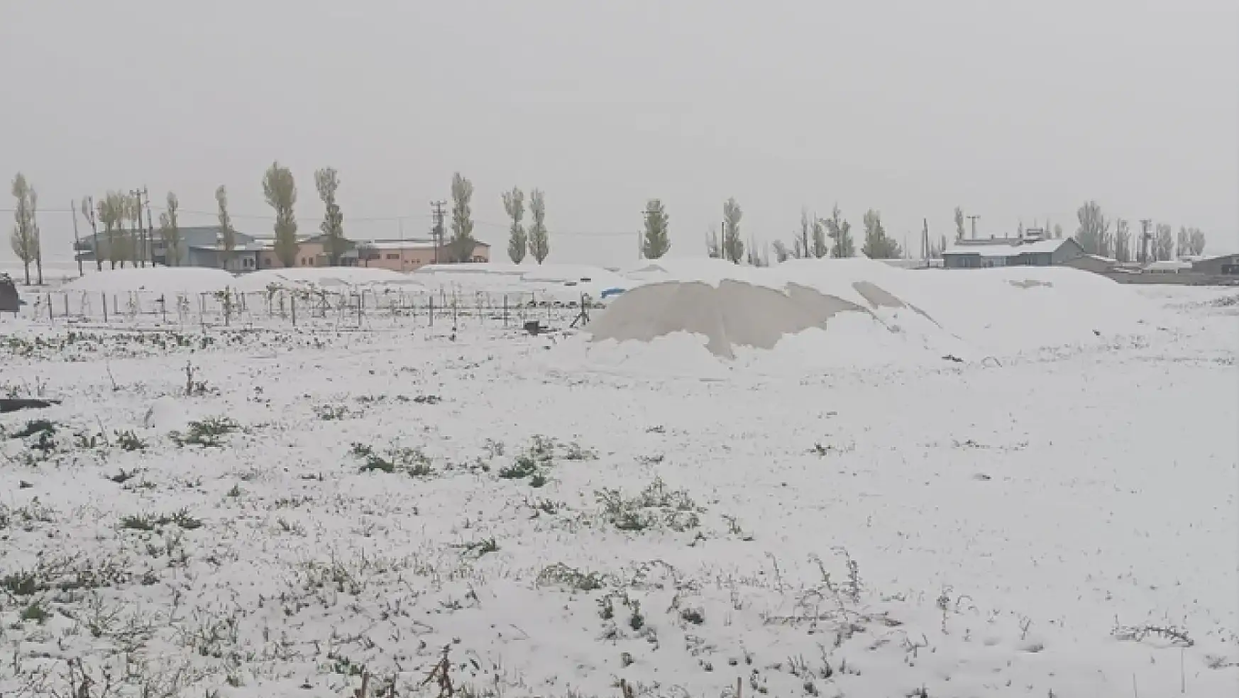 Van'da kar yağışı hayatı olumsuz etkiledi