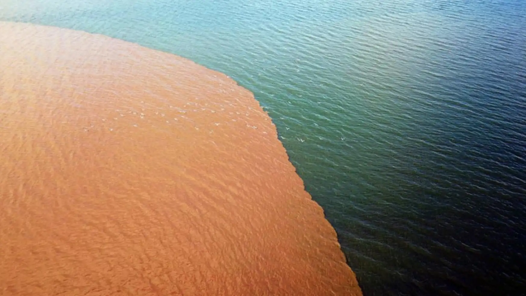 Van Gölü kahverengine boyandı