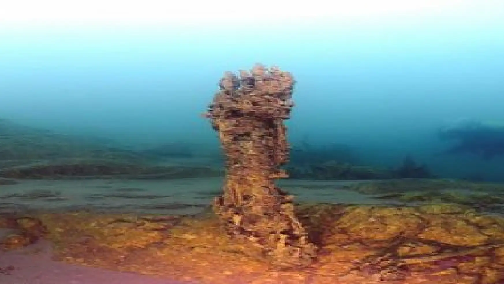 Van Gölü'nde Mercan Kolonileri Bulundu
